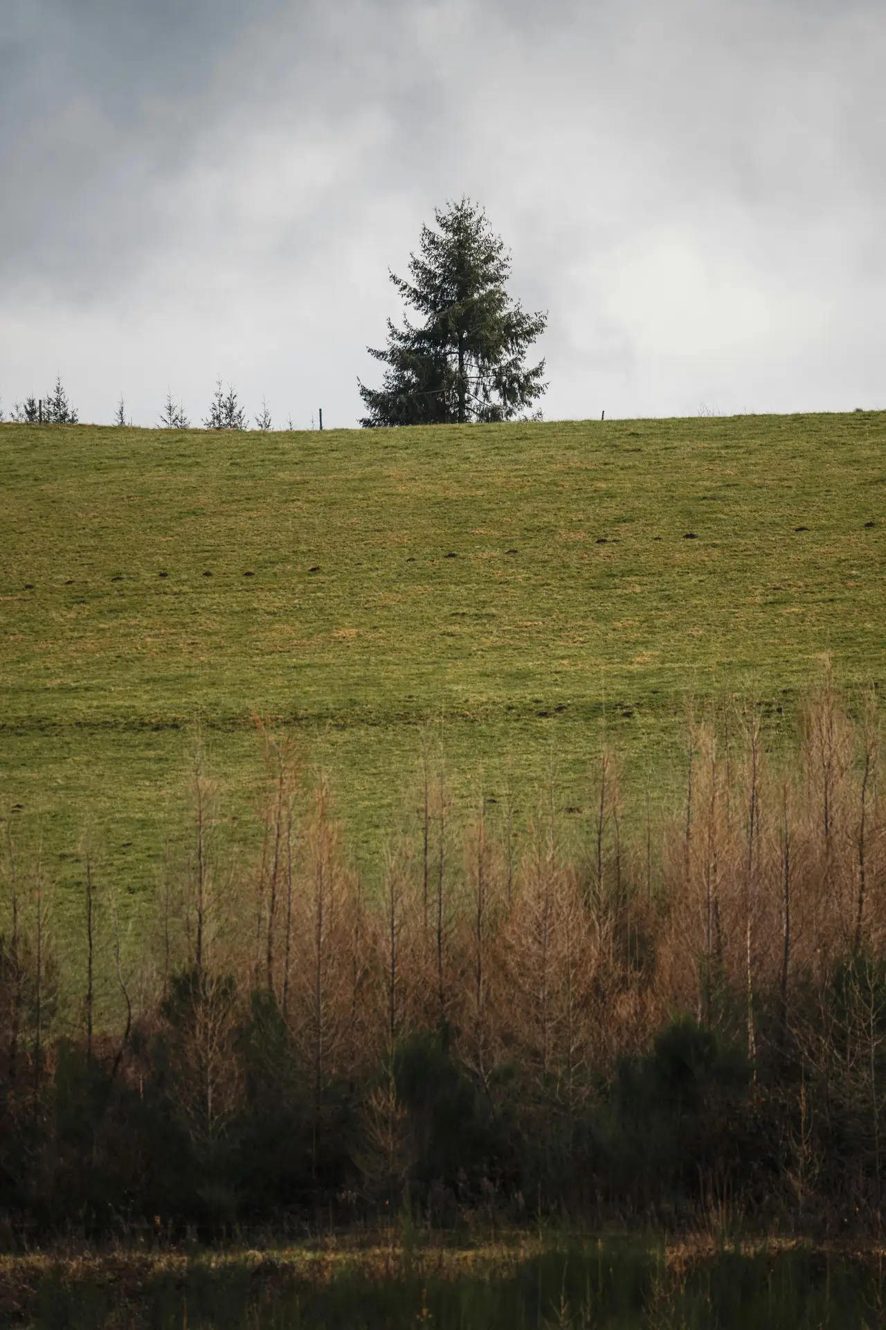 Creative Storytelling Through Photography: Inspiring Ideas for Beginners in 2026