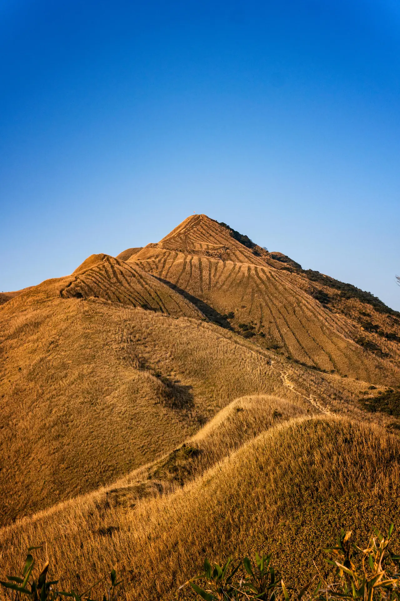 How to Master Mobile-First Vertical Travel Photos for Instagram Reels in 2026