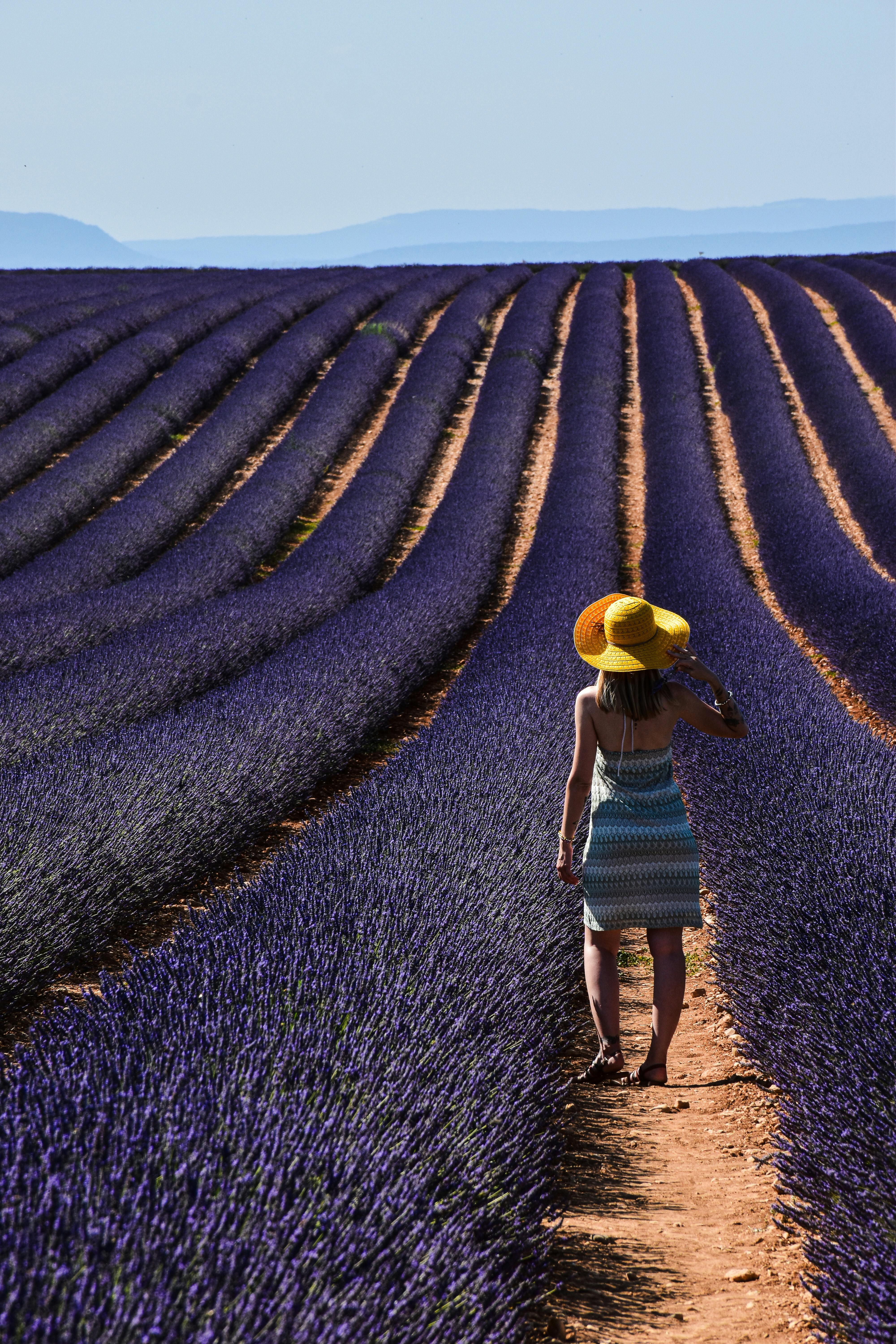 Close-up of padded strap and metal fittings