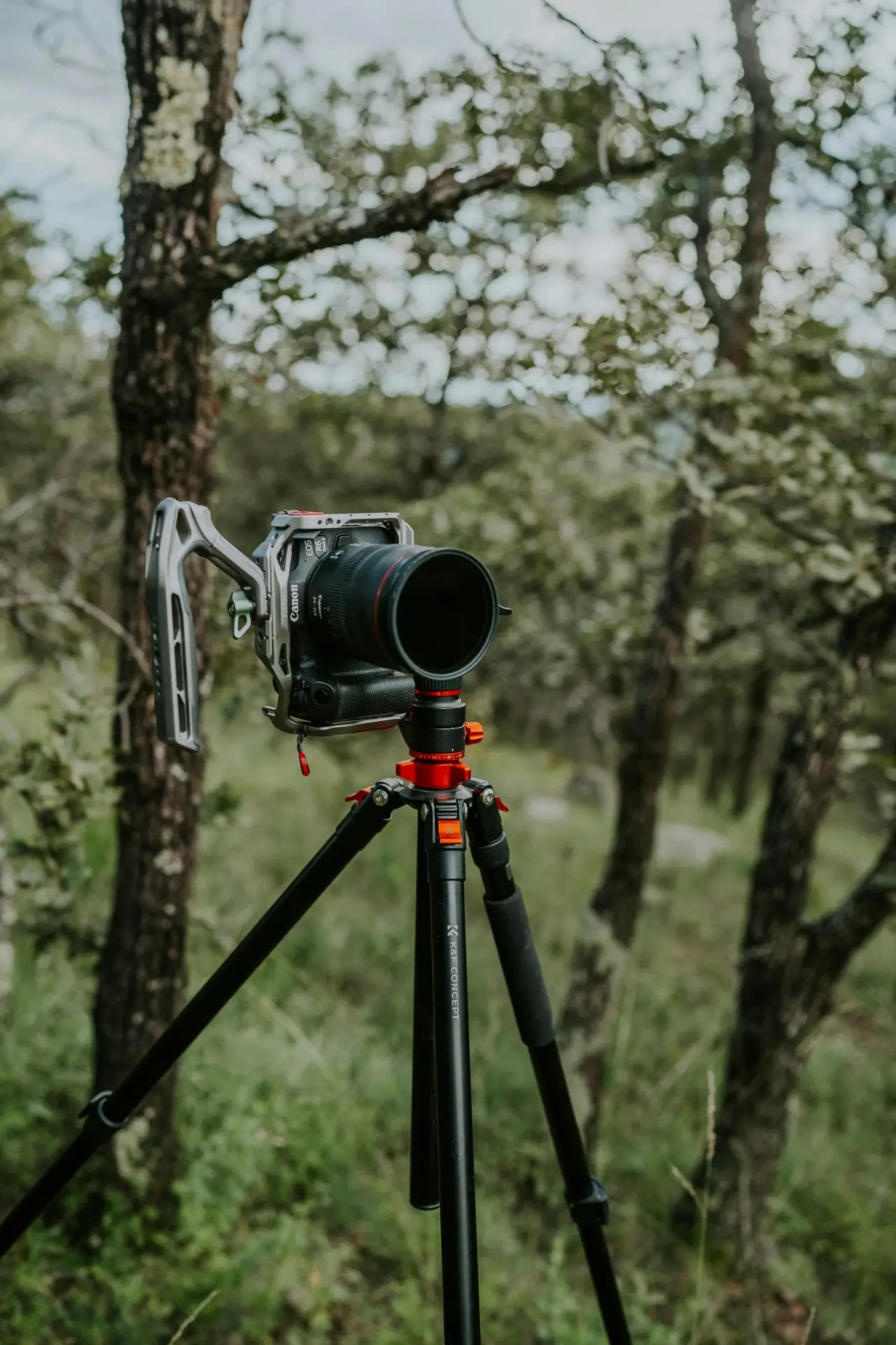 Inspiration from the Wild: How Outdoor Adventure Photography is Evolving in 2026