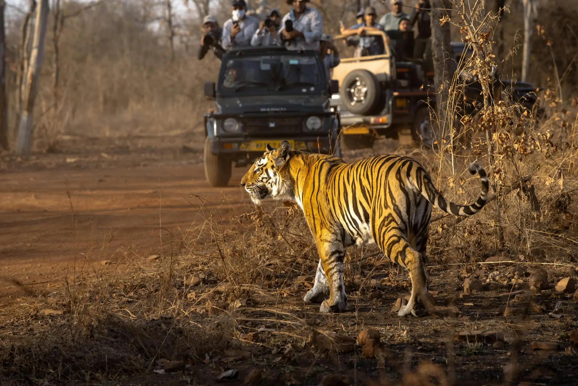 Inspiration from the Wild: How Outdoor Adventure Photography is Evolving in 2026