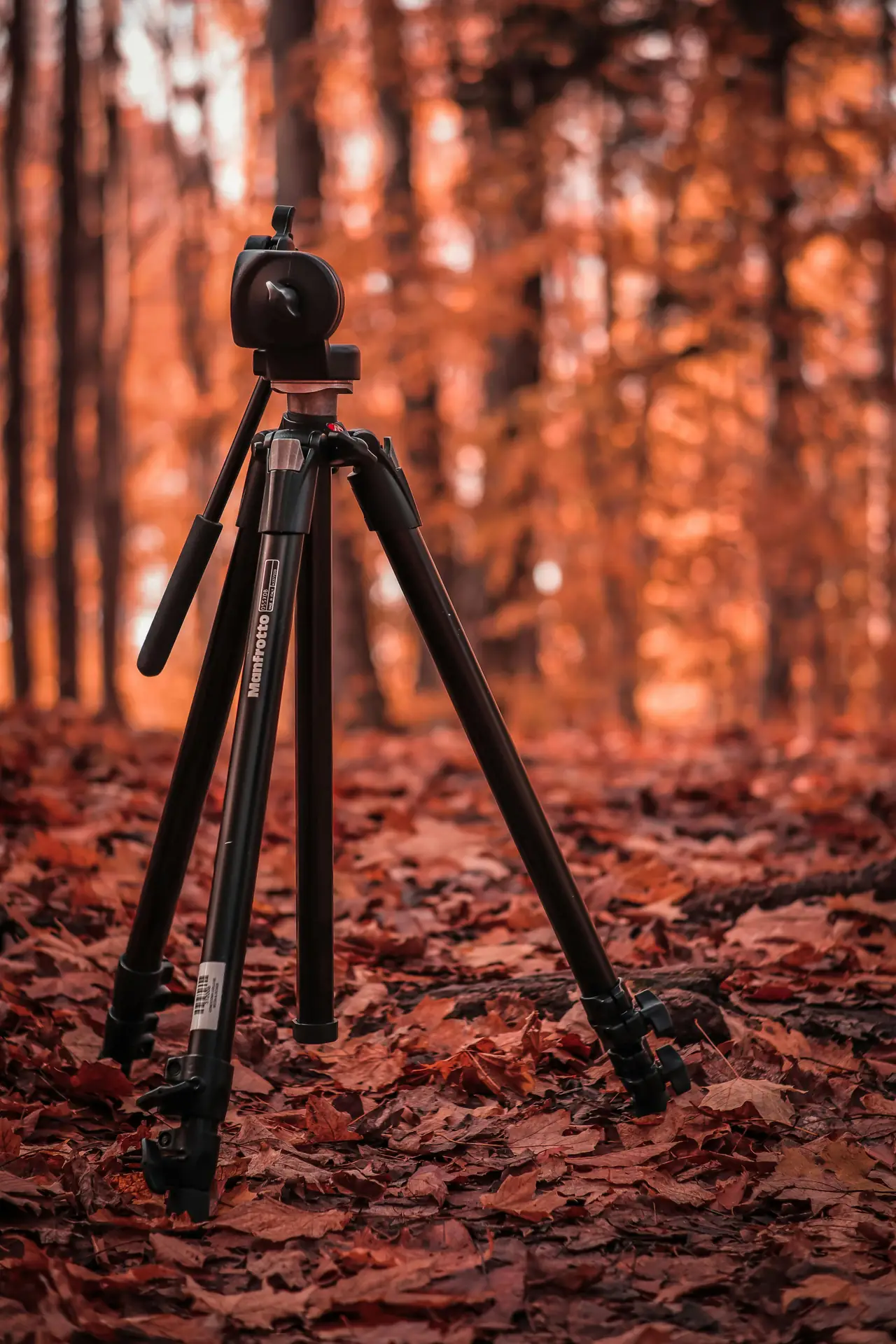 5 Essential Gear Upgrades for Outdoor Adventure Photographers in 2026
