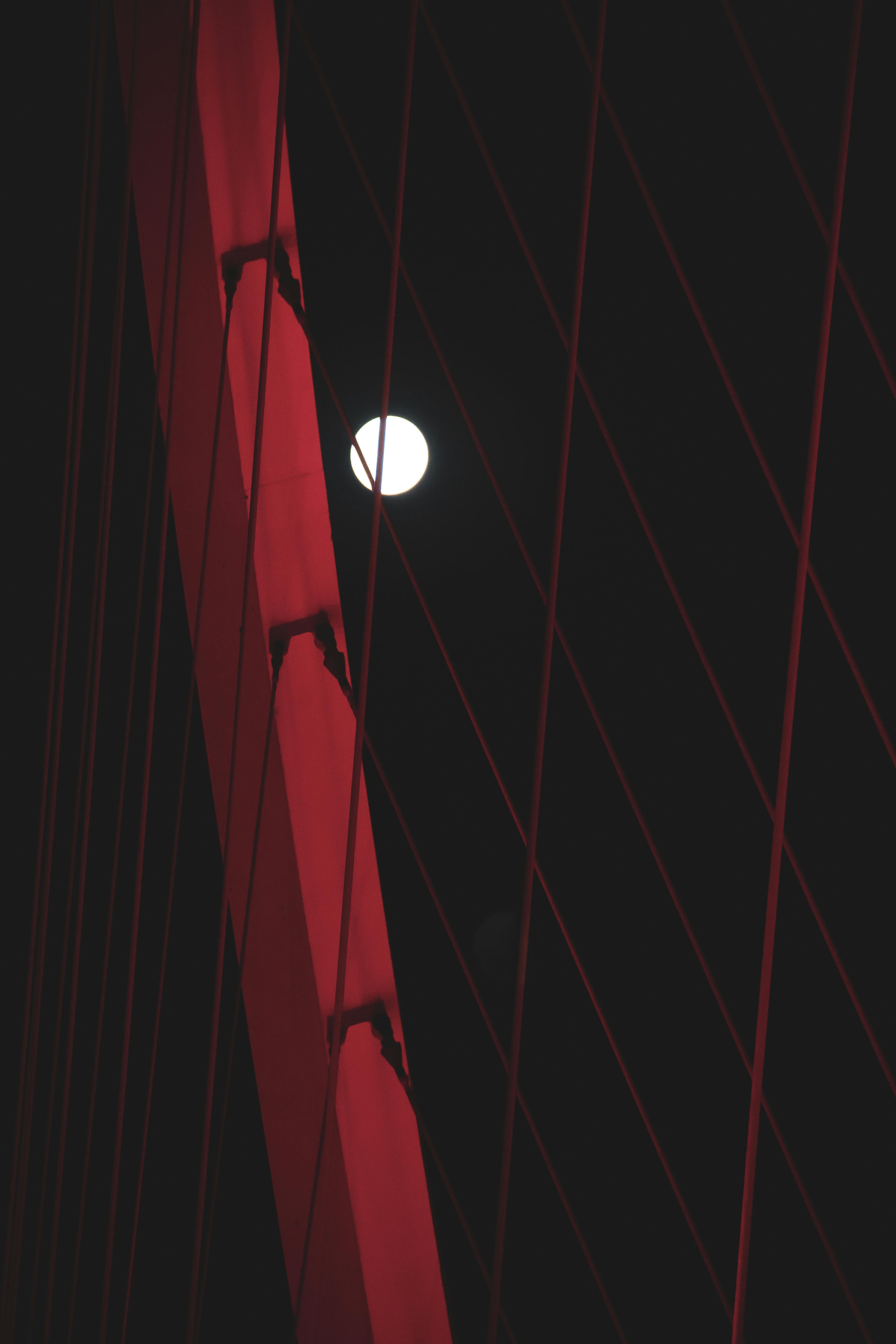 Group of young travelers capturing candid moments at golden hour