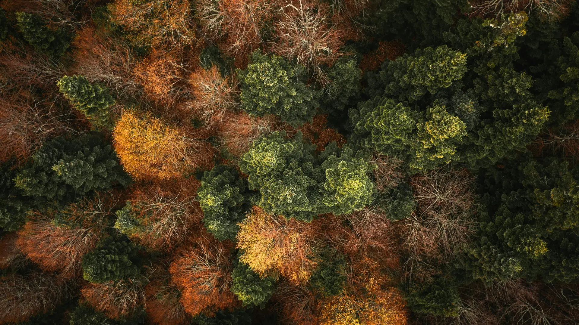 Inspiration from the Great Outdoors: 2026 Photography Trends for Adventure Shooters