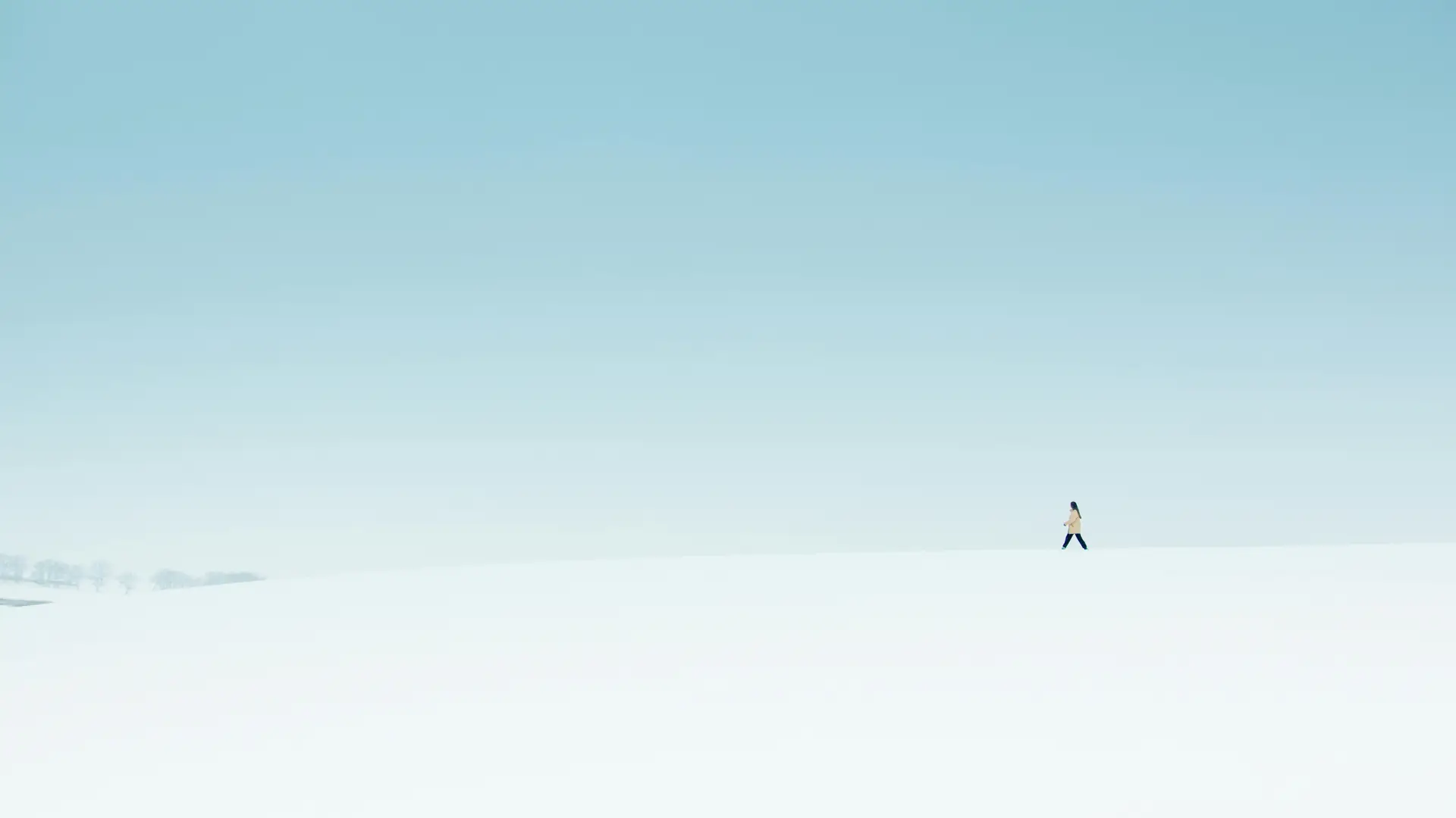 The Rise of Minimalist Photography: How to Tell Stories with Less in 2026