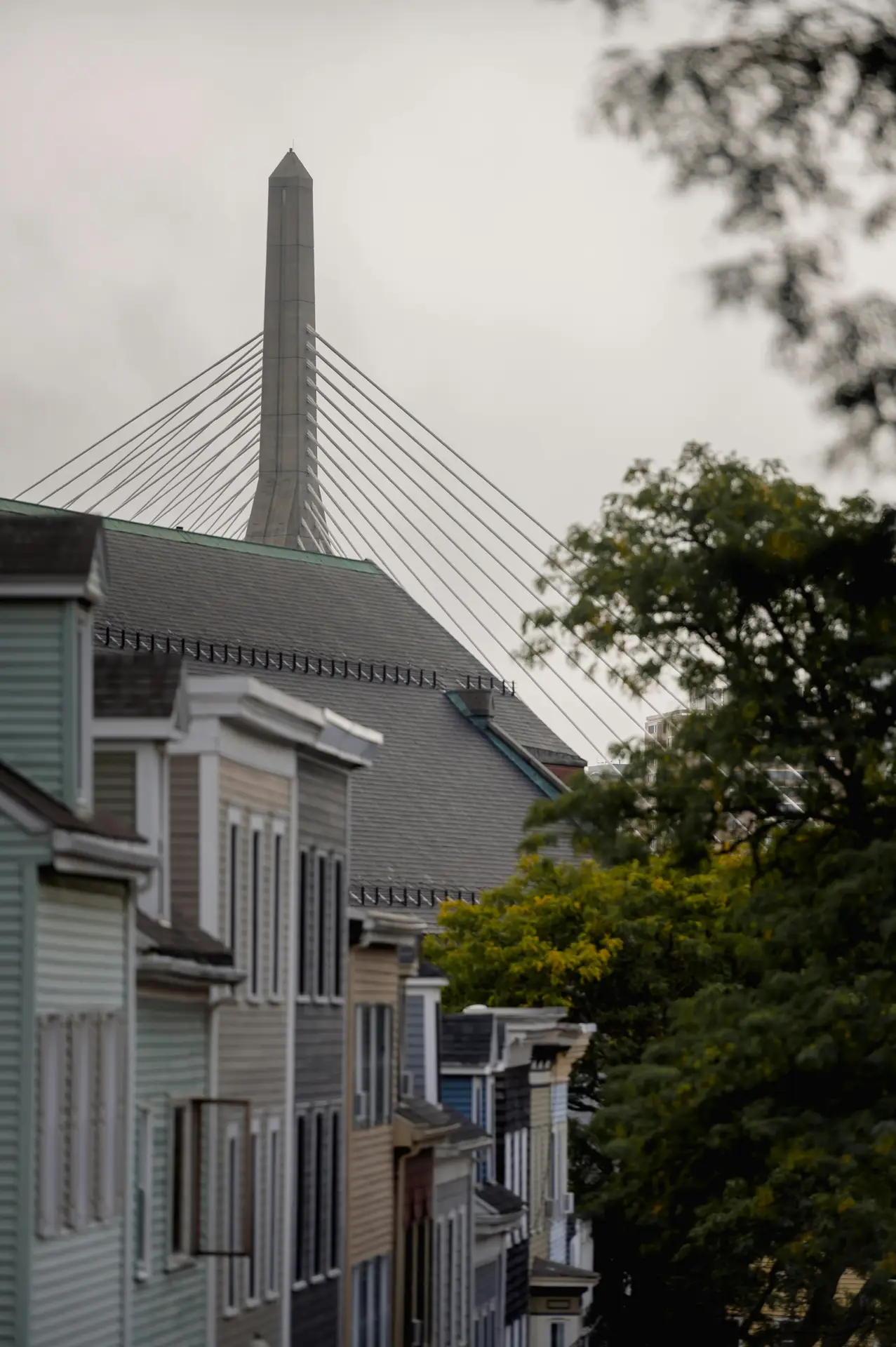 複数のアスペクト比のためのセーフゾーングリッドを示す絵コンテ