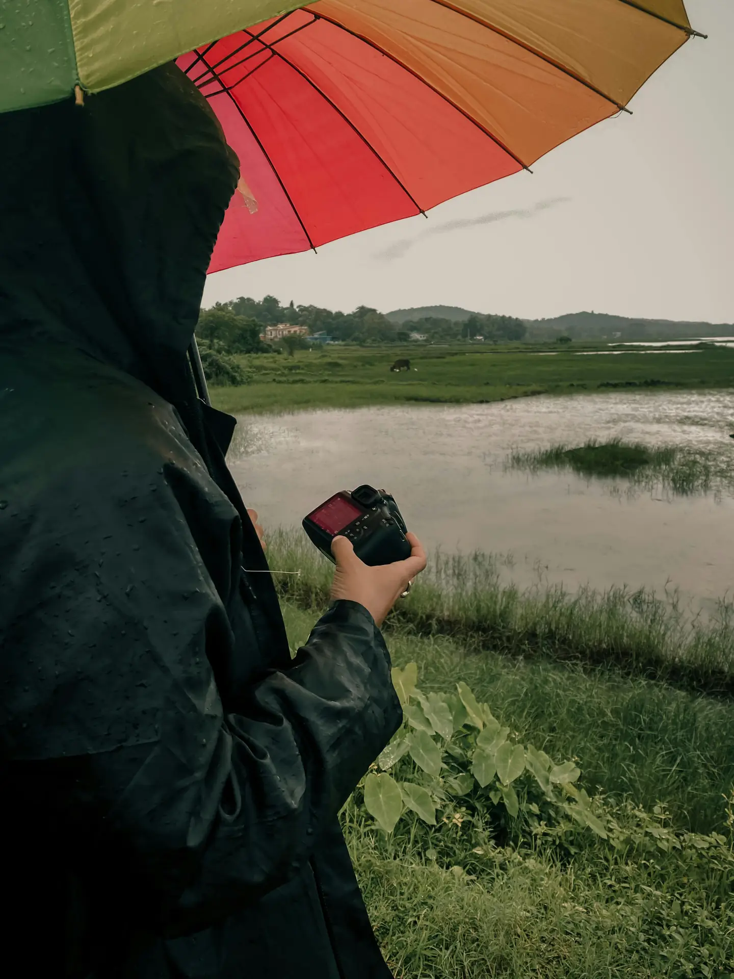 Exploring the Great Outdoors: Top 5 Camera Gear Essentials for Adventure Photographers