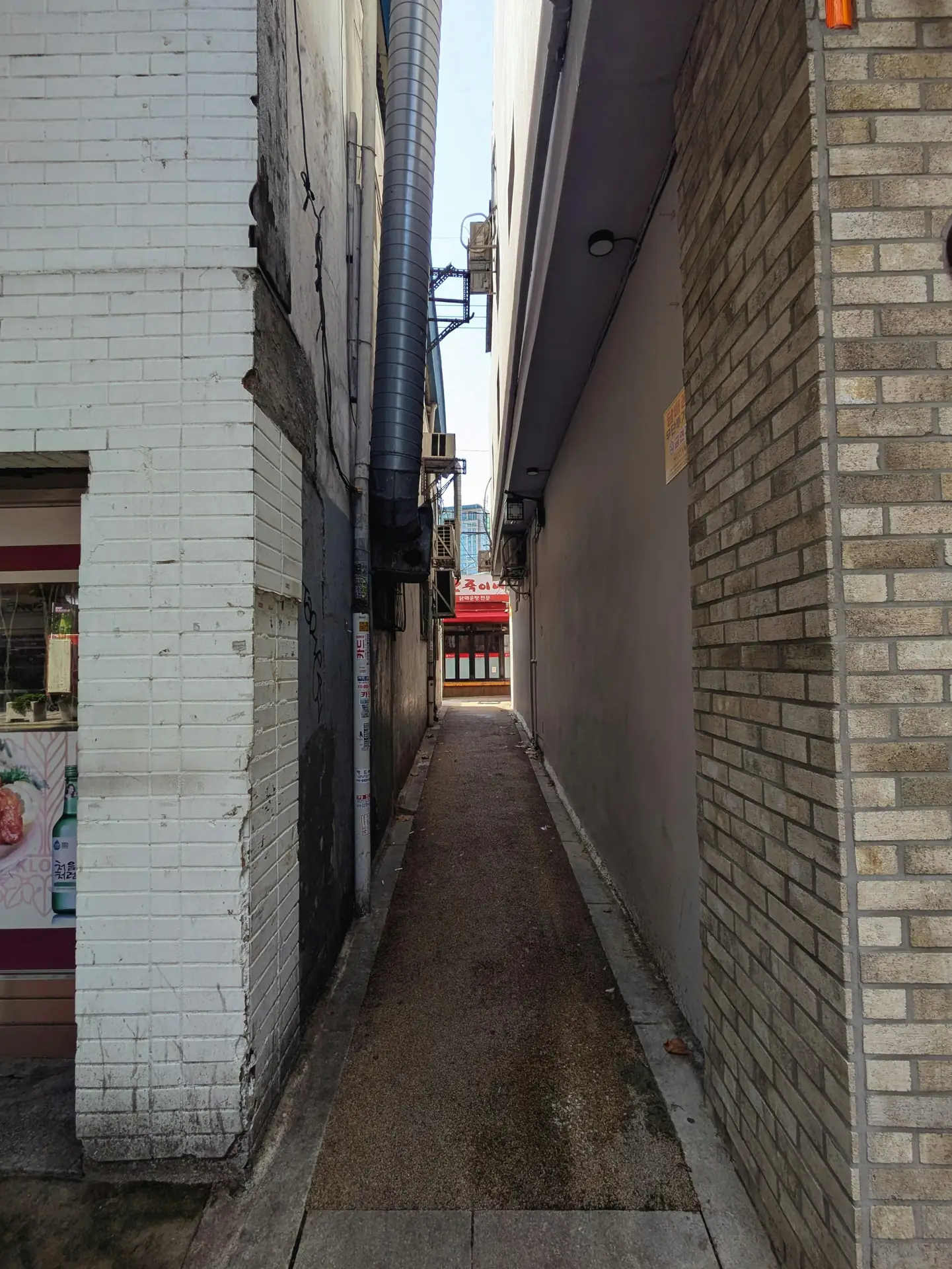 Compacte systeemcamera gebruikt voor street bruiloftsfotografie