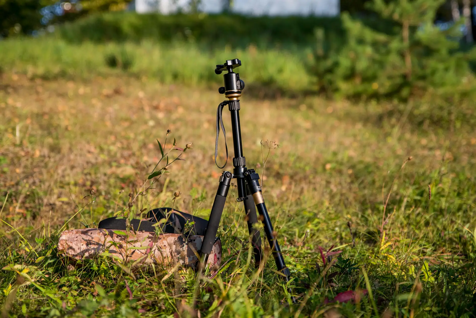 Affordable Camera Accessories for Amateur Photographers: 2026 Must-Haves