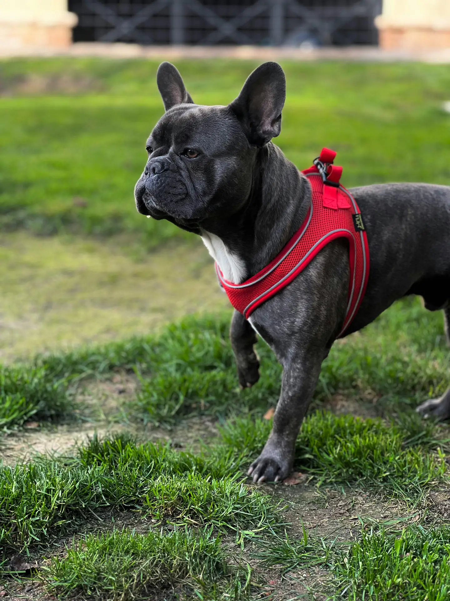 Maximizing Comfort and Functionality: How the Camstrap Magclip Enhances Your Shoot