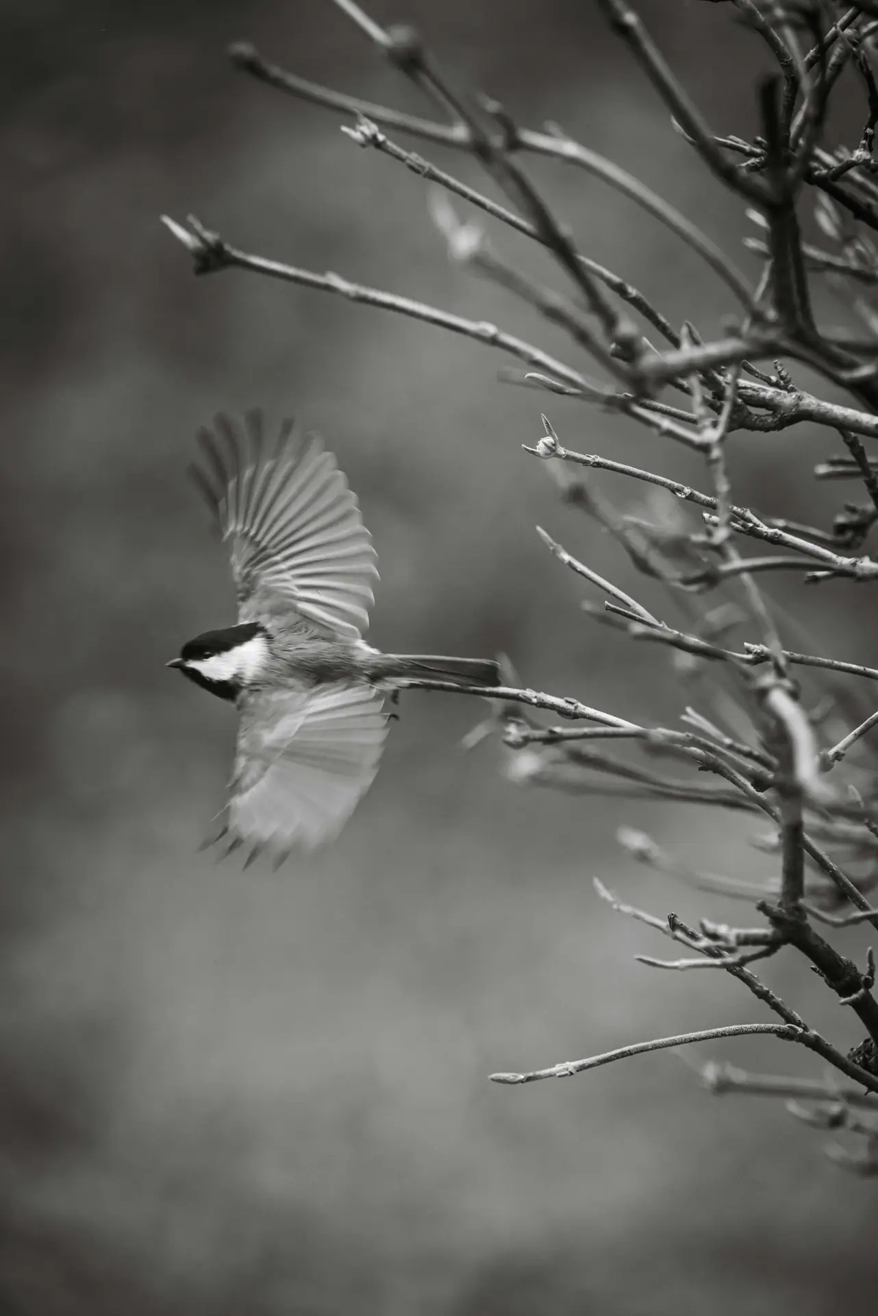Exploring the Great Outdoors: Photography Tips for Rugged Environments