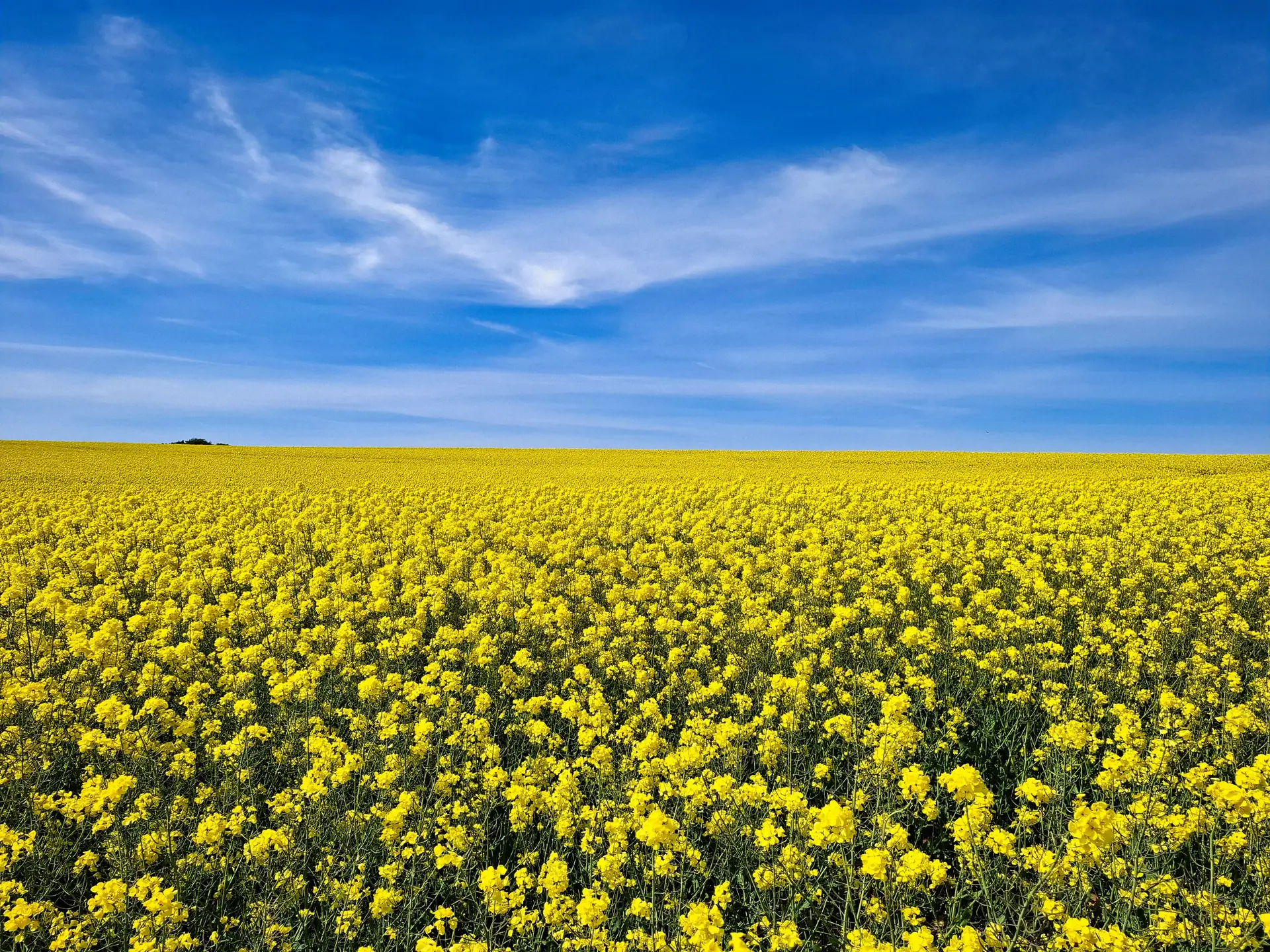 Tendances photo 2026 : rester en avance avec le matériel et les techniques