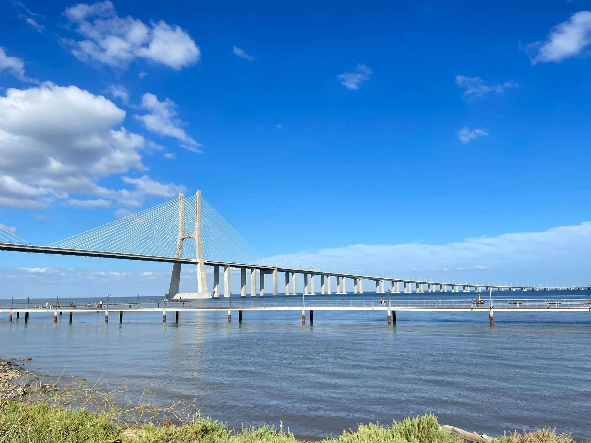 Set met Kino-achtige LED-panelen en praktische lampen voor diepte